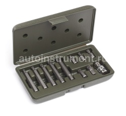 Набор вставок 3/8" SPLINE (M5,M6,M8,M10,M12), L-75 мм, 11 пр. ДЕЛО ТЕХНИКИ 626791