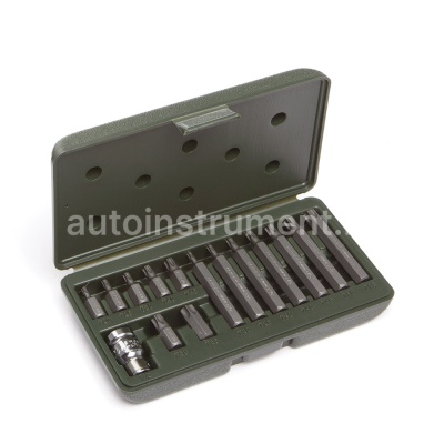 Набор вставок TORX 3/8" (Т20-Т55) длина 30 мм и 75 мм, 15 предметов  ДЕЛО ТЕХНИКИ 626295
