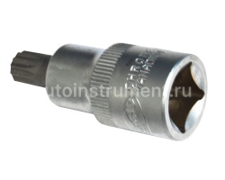 Головка торцевая со вставкой SPLINE M10 1/2" АВТОДЕЛО L=55mm 39510