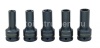 Набор торцевых головок 3/4"DR E18 / E20 / E24 / 17 мм/19 мм 12-гр. Для болтов ГБЦ MAN Jonnesway