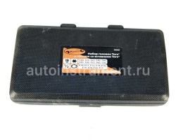 Набор головок TORX 19 пр. АВТОДЕЛО 1/2" Е10-Е24, Т20-Т70 39840